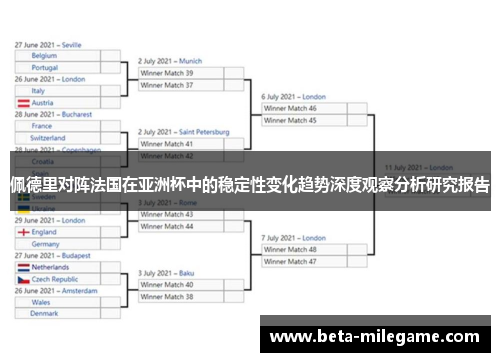 佩德里对阵法国在亚洲杯中的稳定性变化趋势深度观察分析研究报告